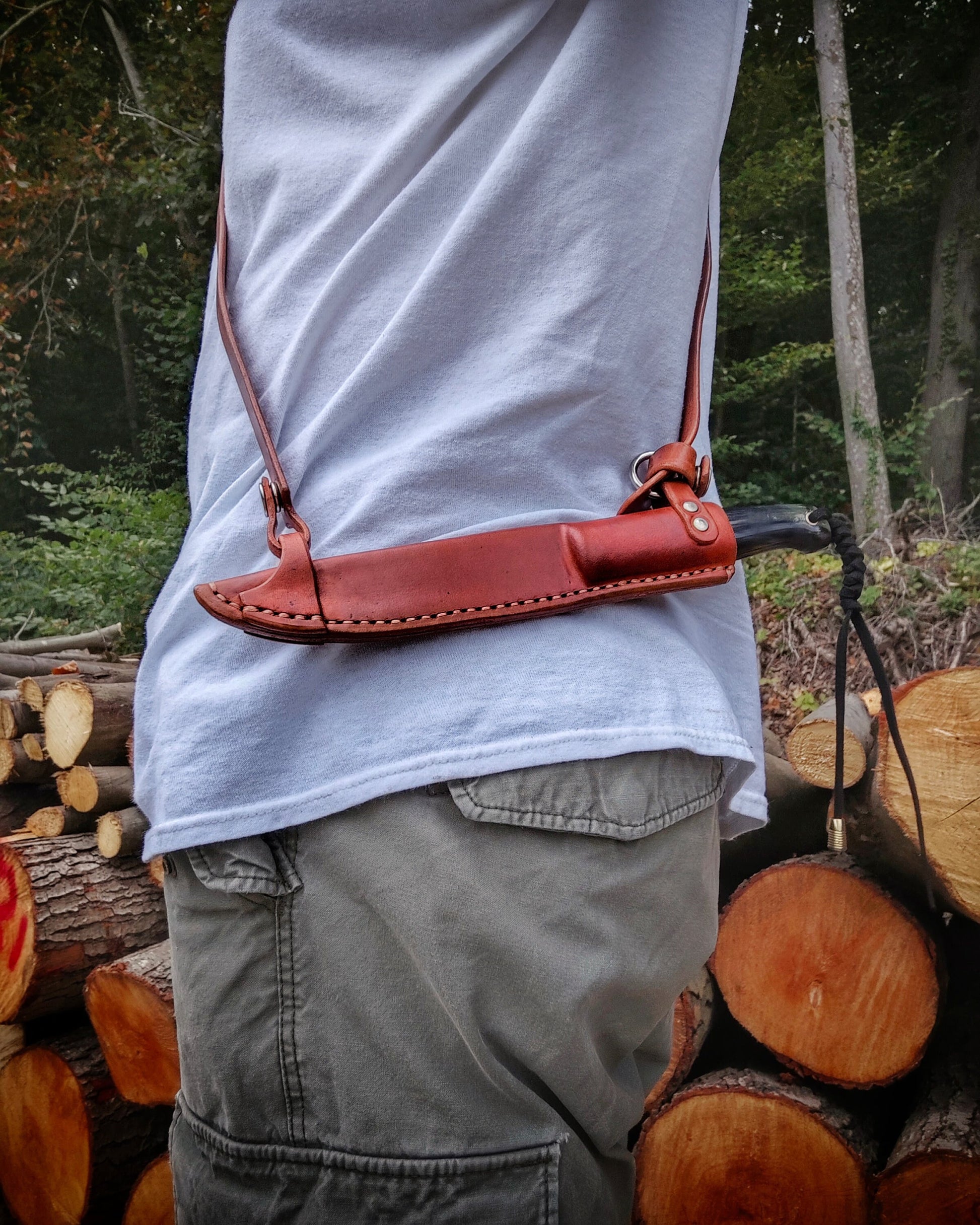 Companion Blade: Unleash Freedom with Every Move