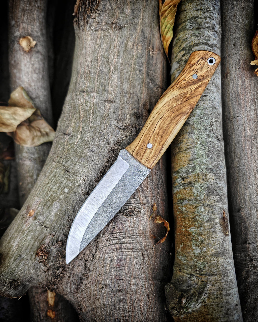 Majestic Olive Wood Handled Classic Bushcraft Knife: Harnessing the Power of Nature
