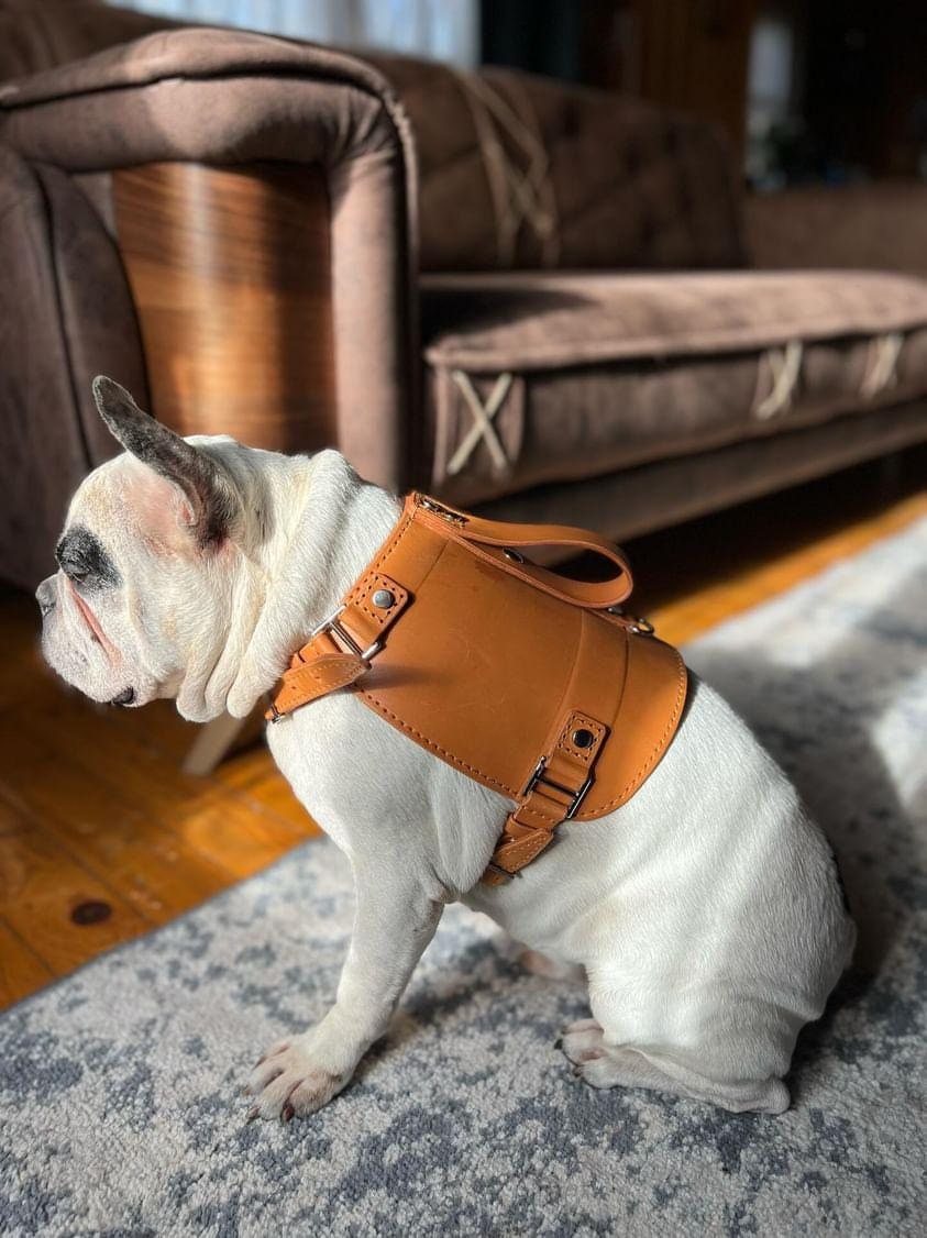 Handmade Real Leather Dog Chest Harness and Walking Leash Set - Natural and Elegant